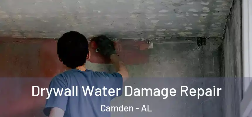  Drywall Water Damage Repair Camden - AL