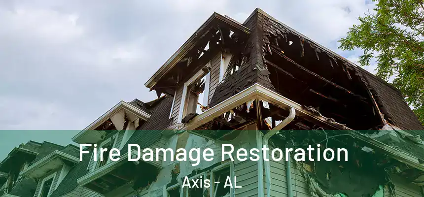  Fire Damage Restoration Axis - AL