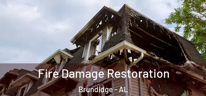 Fire Damage Restoration Brundidge - AL