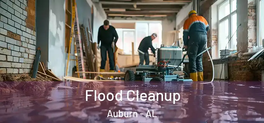  Flood Cleanup Auburn - AL