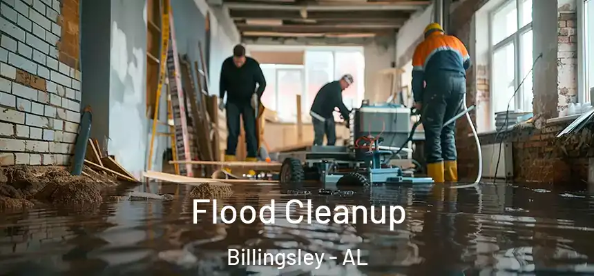 Flood Cleanup Billingsley - AL
