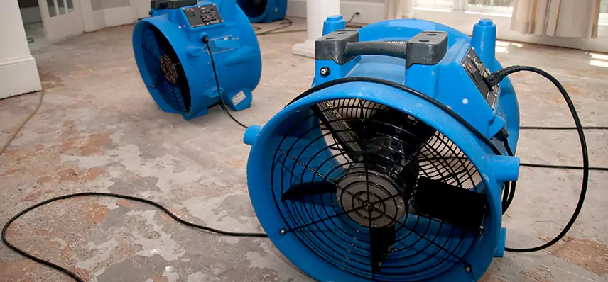 Sewage Removal Services in Camden