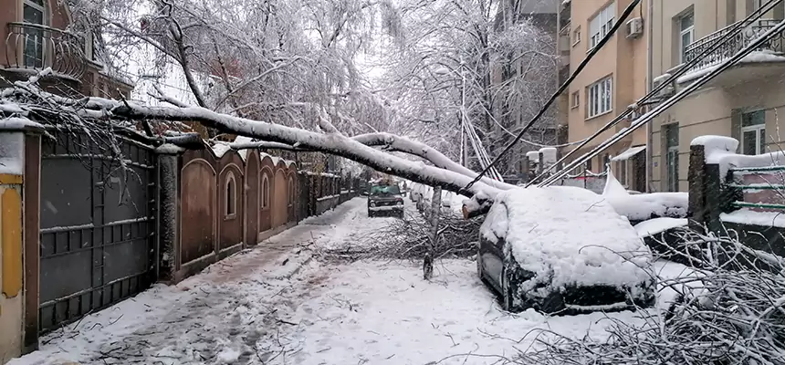Winter Storm Damage Repair in Camden