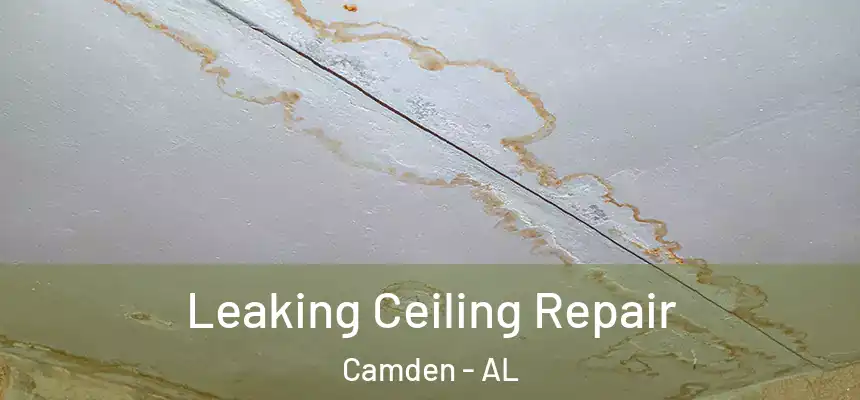  Leaking Ceiling Repair Camden - AL