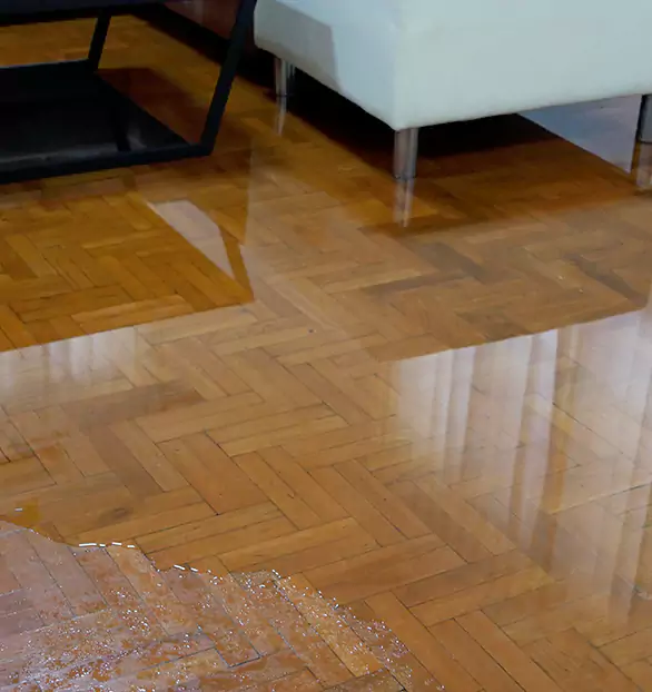 Trusted Emergency Water Restoration Company in Camden, AL