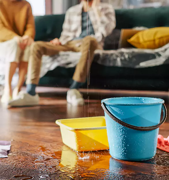 Reliable Water Mitigation Company in Camden, AL