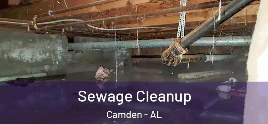  Sewage Cleanup Camden - AL