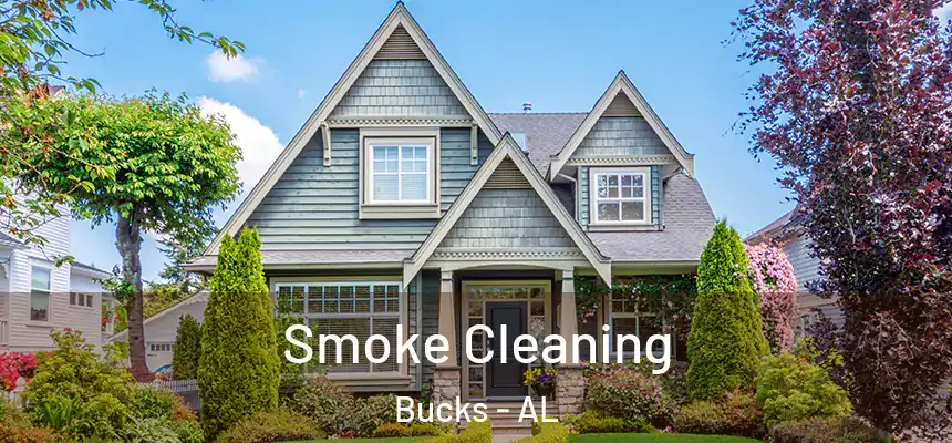  Smoke Cleaning Bucks - AL