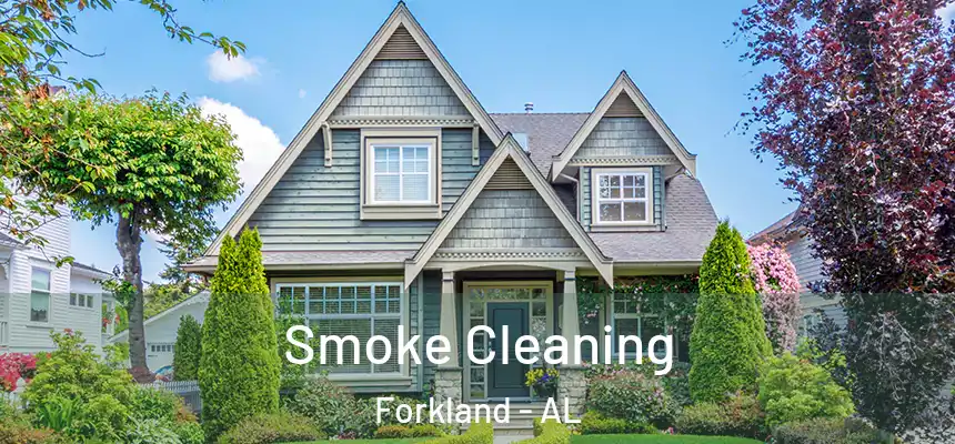  Smoke Cleaning Forkland - AL