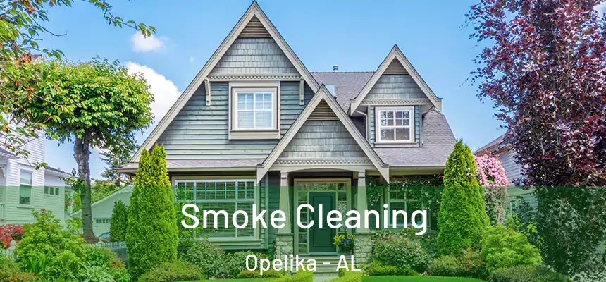 Smoke Cleaning Opelika - AL