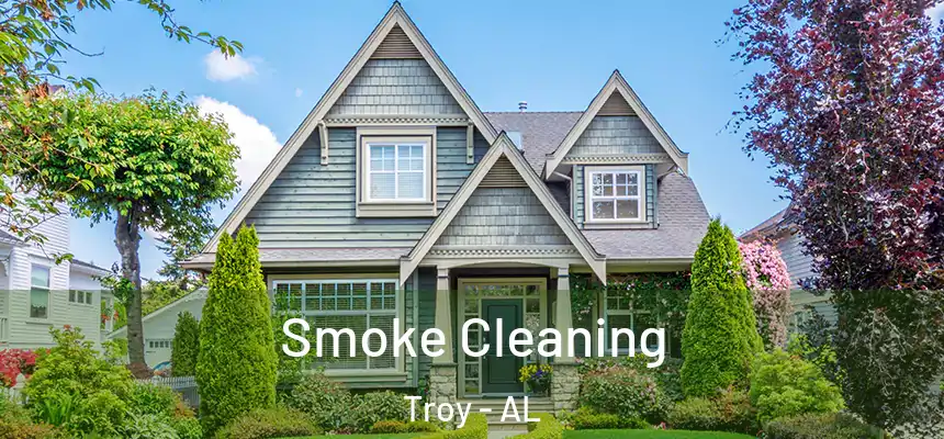  Smoke Cleaning Troy - AL