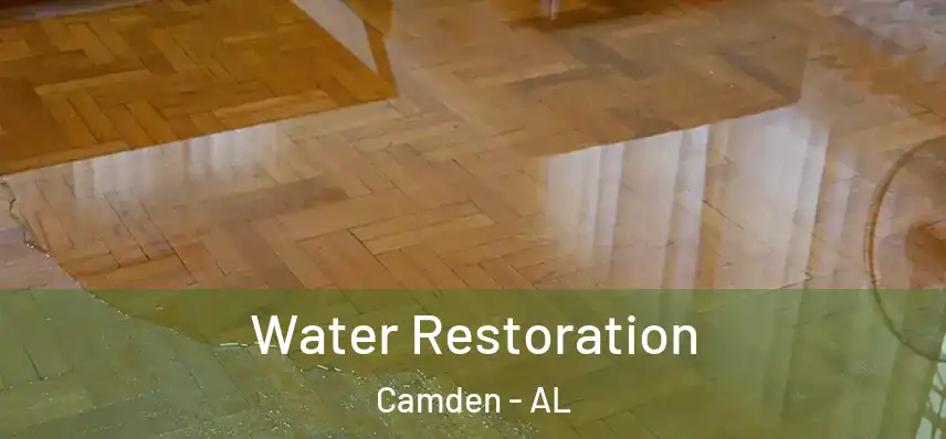  Water Restoration Camden - AL