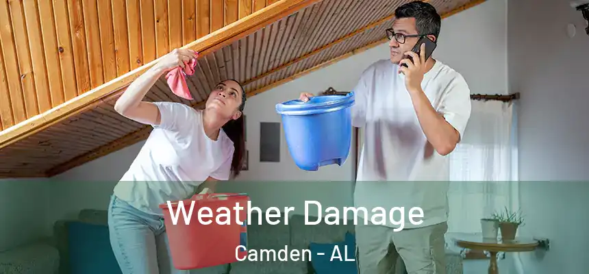  Weather Damage Camden - AL